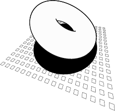  torus.7 